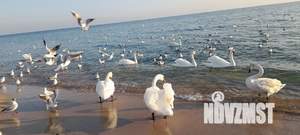 2-к квартира, посуточно, 50м2, 7/9 этаж