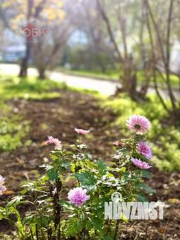 2-к квартира, вторичка, 67м2, 3/3 этаж