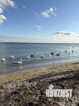 1-к квартира, вторичка, 33м2, 3/9 этаж