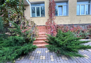 1-к квартира, сданный дом, 20м2, 2/3 этаж